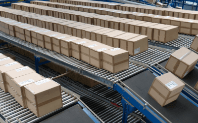 Warehouse Automation: When Is It Right for Your Operation?